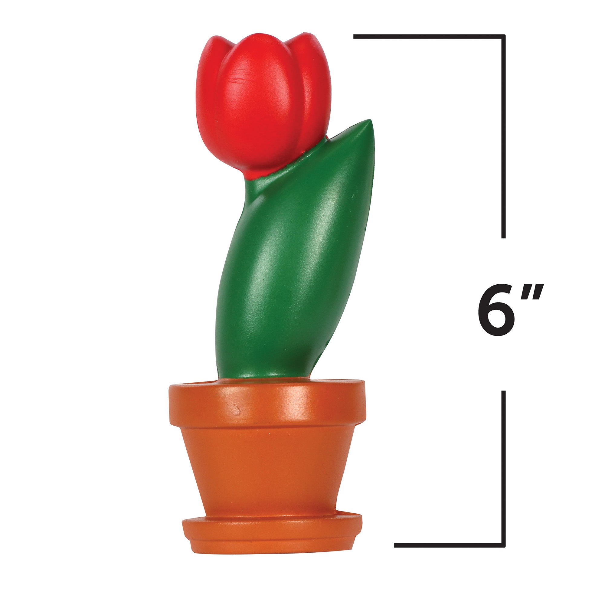 Learning Resources Cross-Section Flower Model, 2-Piece Foam Science Model for Classroom Demonstration, Teaches Parts of a Flower, Includes Activity Guide, Ages 7+